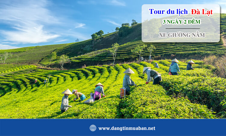 Tour Đà Lạt 4 ngày 3 đêm xe giường nằm